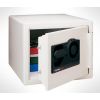   SENTRYSAFE SB0100