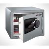   SENTRYSAFE MS0607
