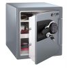   SENTRYSAFE MS3817