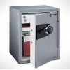  SENTRYSAFE MS5635