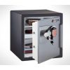  - SENTRYSAFE OA3817