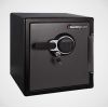  - SENTRYSAFE SFW123GTC