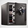  - SENTRYSAFE STW123GDC