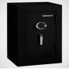  - SENTRYSAFE EF3428E