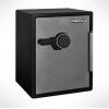  - SENTRYSAFE SFW205FYC