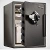  - SENTRYSAFE SFW205DPB