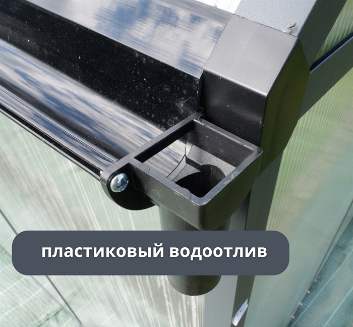  Klesto     GH335