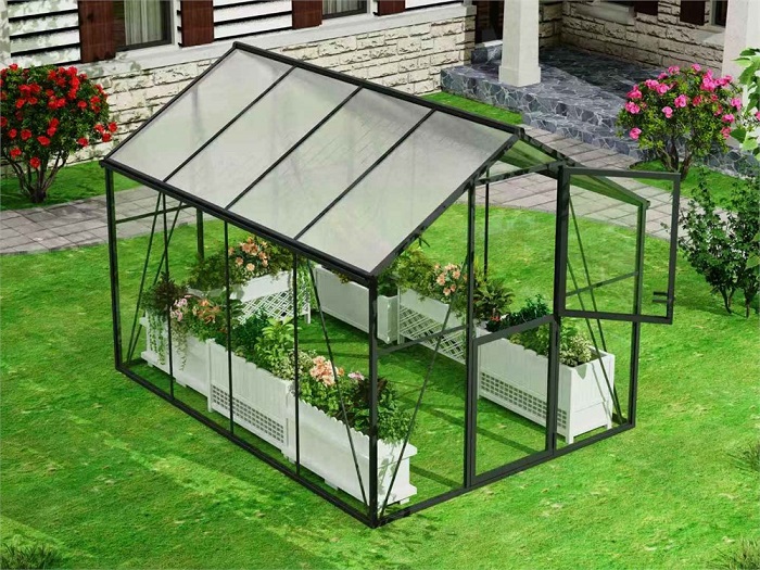  Klesto       GH307 Premium
